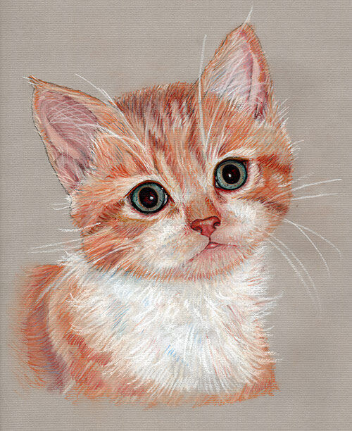 Pastel portrait of Silas the ginger kitten